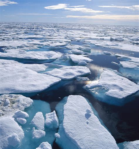 Ice Floes In Arctic Northwest Territories Photograph By Konrad Wothe