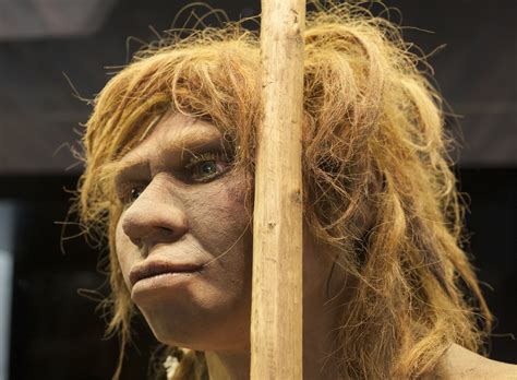 Neanderthals And Modern Humans Parted Ways Years Ago Earth