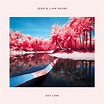 Zedd & Liam Payne – Get Low Lyrics | Genius Lyrics