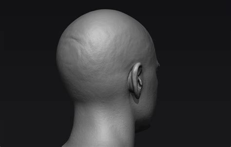 Realistic Male Head Sculpt 01 3d Model Cgtrader