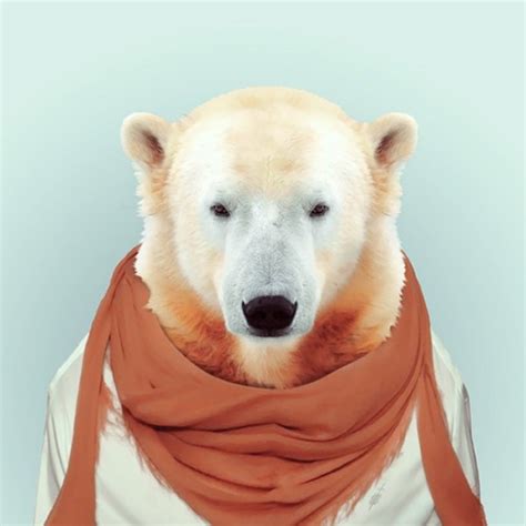 Zoo Portraits By Yago Partal Another