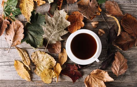 Wallpaper Autumn Leaves Coffee Cup Wood Autumn