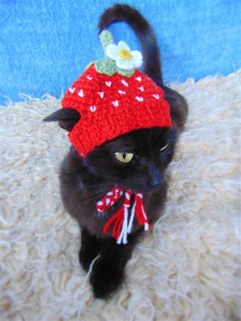 We did not find results for: Strawberry hat for cat, Hat for kitten, Fruit cat outfit ...