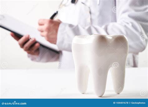 Young Male Dentist And White Healthy Ceramic Molar Tooth Stock Photo