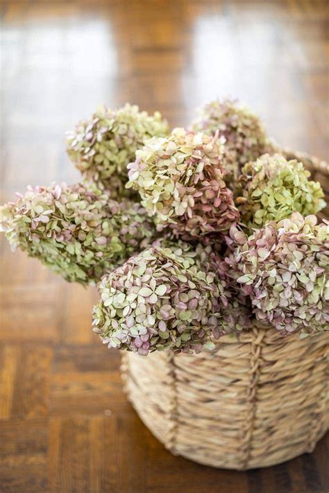 How To Dry Hydrangeas For Fall Decor Design It Style It
