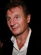 File:Liam Neeson at 2008 TIFF cropped.jpg - Wikipedia