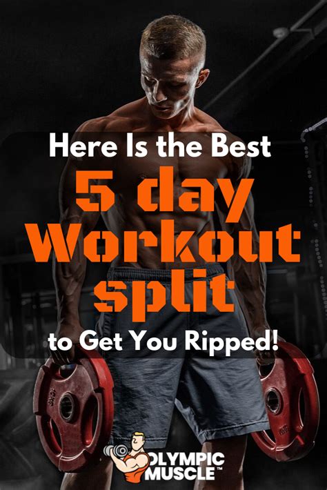 5 Day Workout Routine To Get Ripped Complete Guide 5 Day Workout