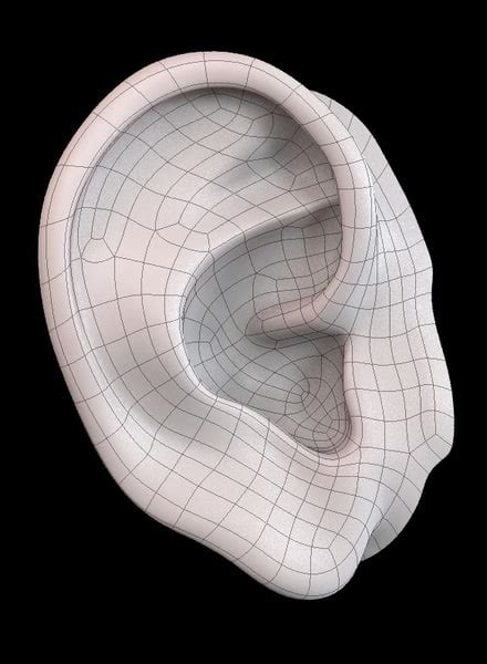 3ds Max Realistically Human Ear