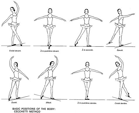 Basic Positions Of The Body Cecchetti Method Ballet Positions Ballet