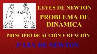 Problemas Resueltos De Físicatercera Ley De Newton Principio Acción Y