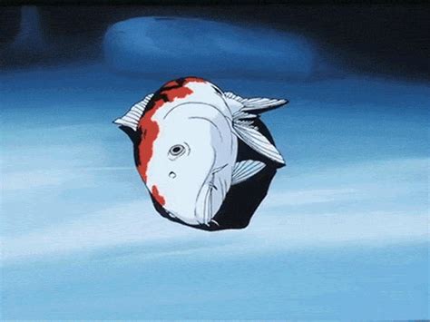 Animated  Koi Fish Funny 
