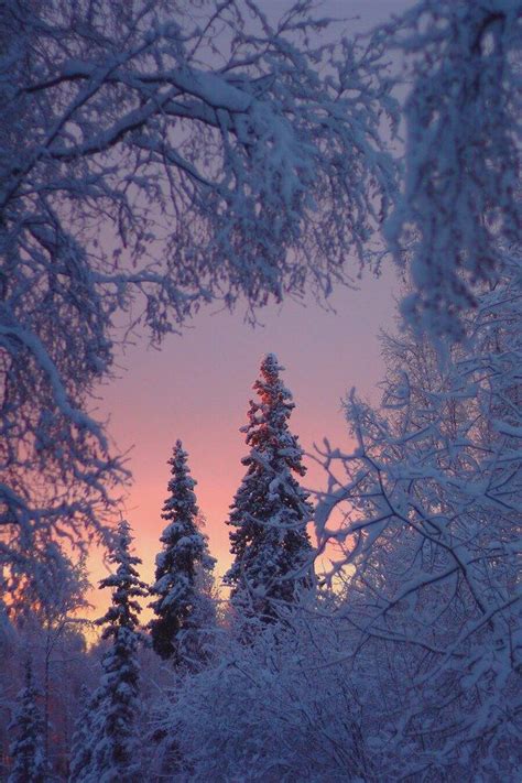 Free Download Background Beautiful Winter Sunrises Paisaje Invernal