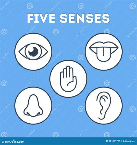 Five Types Of Human Sense Concept Illustration Stock Vector