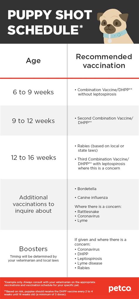 Puppy Vaccination Chart Printable