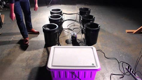 Bubble Flow Buckets How To Grow With 2012 Best Bucket System Youtube