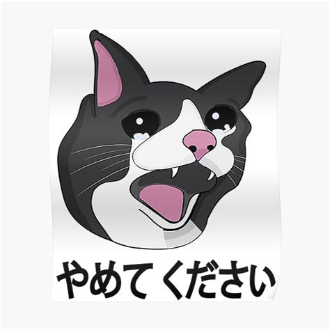 Cat Memes T Shirtyamete Kudasai Meme Crying Cat Yamero Japanese Words