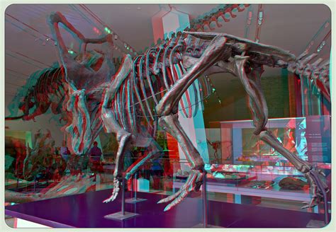 Dinosaurs Royal Ontario Museum 3 D Hdr Anaglyph By Zour On Deviantart