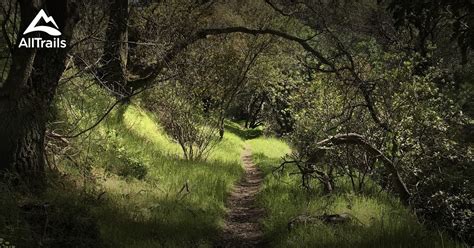 10 Best Hikes And Trails In Black Diamond Mines Regional Preserve
