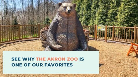 See Why The Akron Zoo Is One Of Our Favorites In Ohio Vlog Youtube