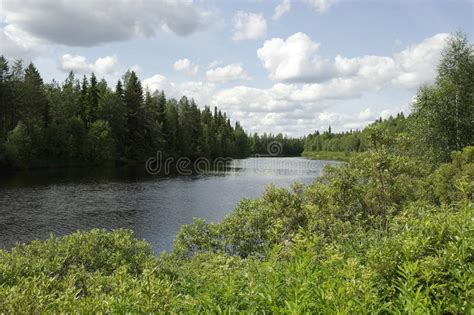 River Summer Landscape Finland Stock Photo Image Of Trees Finland