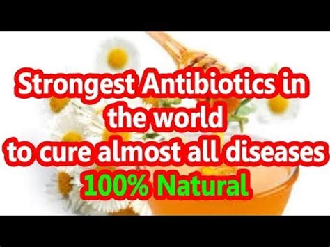 Eat Honey Mixed With Turmeric For Days Best Antibiotic In The World