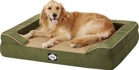 Sealy Lux Premium Orthopedic Bolster Dog Bed Wremovable Cover Large