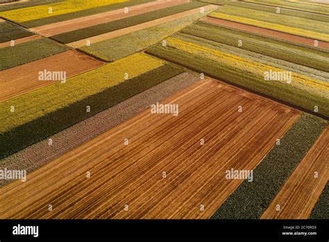 Aerial View Of Cultivated Agricultural Fields In Countryside From Drone