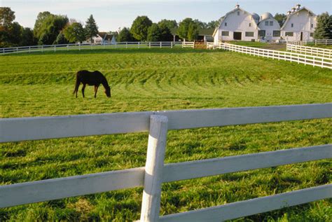 8 Tips For Better Horse Pastures Pasture Is One Of The Cheapest And