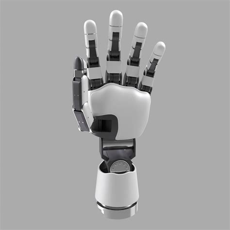 3d Modular Prosthetic Limb Model