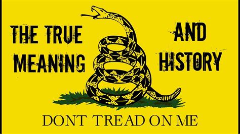 When someone says something really stupid or obvious that ruins a good joke, everyone but the person who killed the joke goes to sleep. Gadsden Flag TRUE MEANING AND HISTORY - YouTube