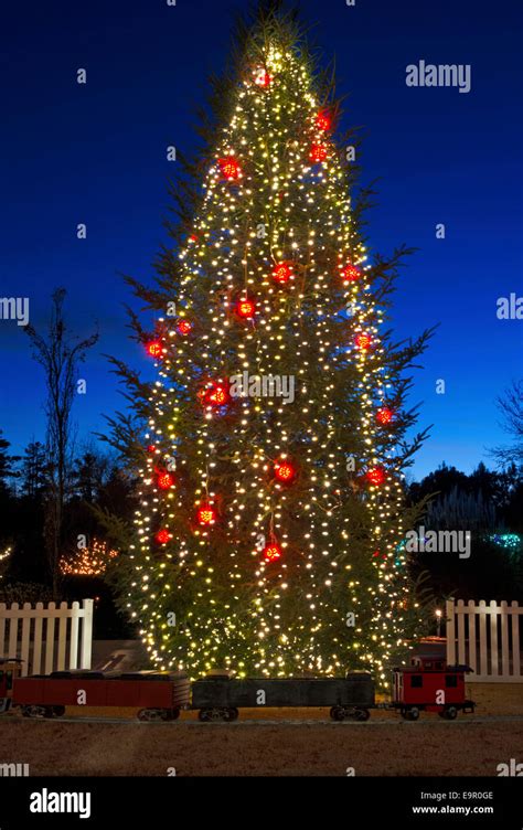 Outdoor Christmas Tree Lights Hi Res Stock Photography And Images Alamy