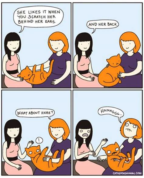 Life With Cats Funny Comics 78