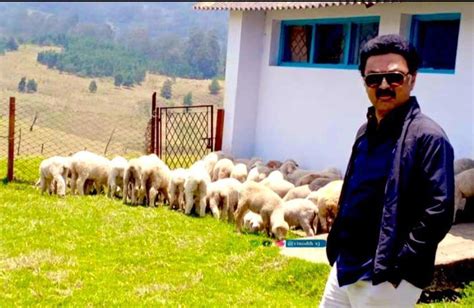 Browse 135 m k stalin stock photos and images available or start a new search to explore more stock photos and images. DMK Chief Stalin in Kodaikanal photos | குளுகுளு ...