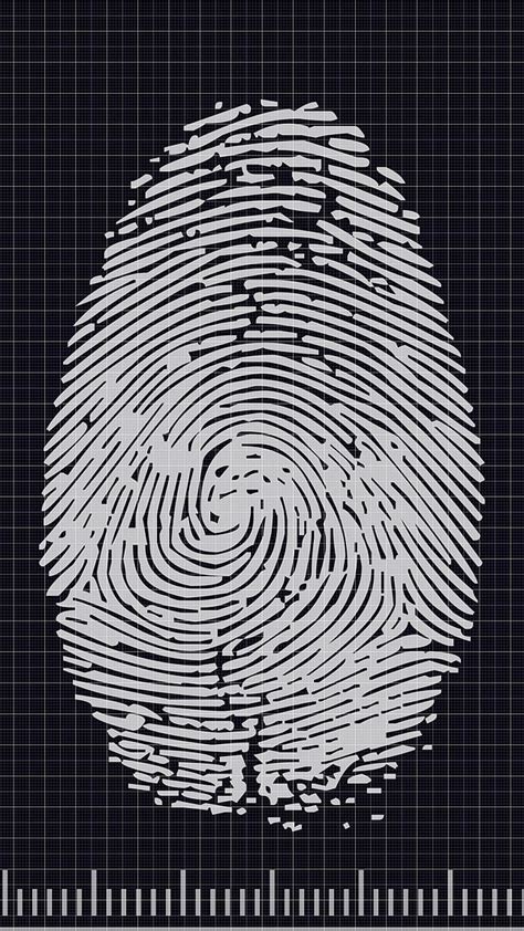 Fingerprint Fingerprint Copy Hd Phone Wallpaper Pxfuel