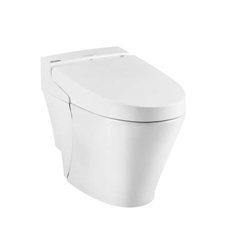 Advanced Clean 100 Spalet Bidets And Bidet Parts At