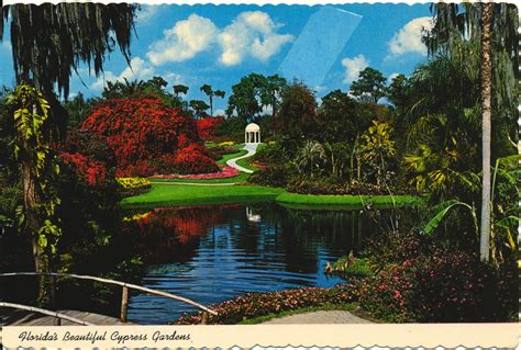 Cypress Gardens Florida Sdlotu