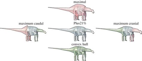 Temporal And Phylogenetic Evolution Of The Sauropod Dinosaur Body Plan