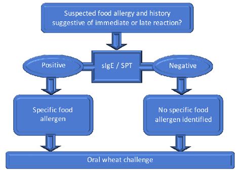 Algorithm For The Diagnosis Of Wheat Allergy Sige Specific Ige Spt
