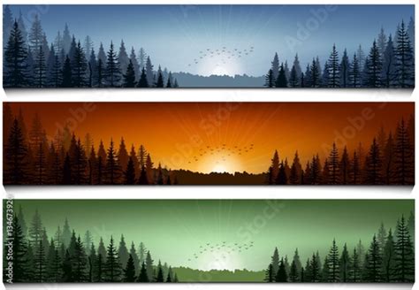 Set Of Forest Landscape Scenes Banners Stock Image And Royalty Free