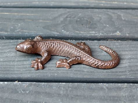 Sie leben in europa, afrika und asien. Eidechse Gusseisen antikbraun klein Gecko Salamander ...
