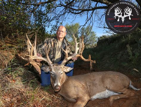 Hunting Ranch And Outfitter In Texas High Fence Hunting Trips In Dallas