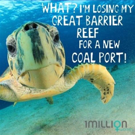 Together We Can Save The Great Barrier Reef Great Barrier Reef