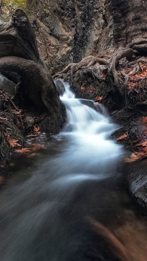Waterfall Passing Through Trees In Dark Forest During Daytime 4k 5k Hd