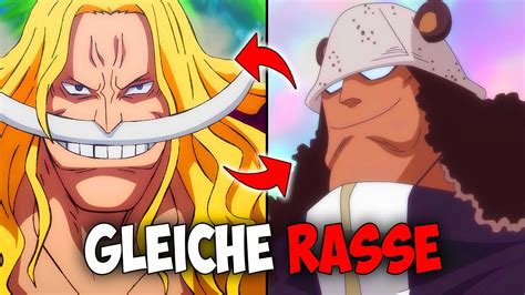 Nach 20 Jahren ENTHÜLLT Oda dieses Geheimnis One Piece 1096 YouTube