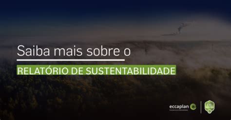 Arquivos relatório de sustentabilidade Blog Eccaplan Consultoria em