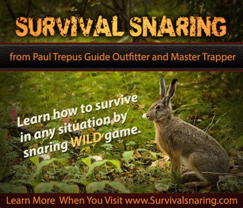 Order Information For Wolf Trapping Supply And Snare Store