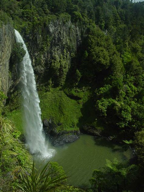 Top 10 Best Waterfalls In New Zealand And How To Visit Them World Of