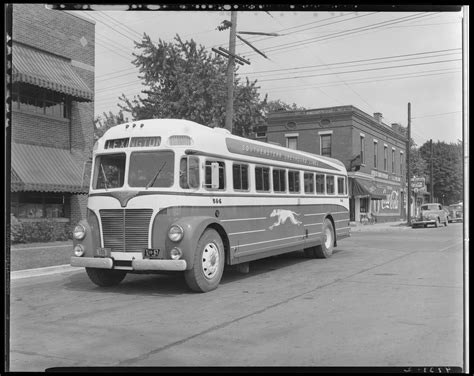 Southeastern Greyhound Lines Bus Company Bus Number 584 No 584