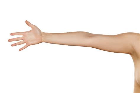 Free Human Arm Images Pictures And Royalty Free Stock Photos
