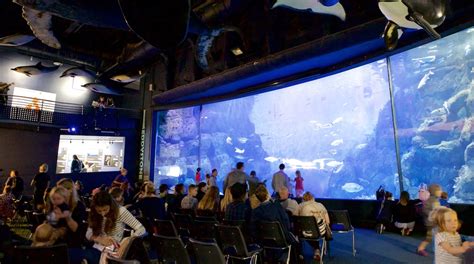 National Marine Aquarium In Plymouth Uk